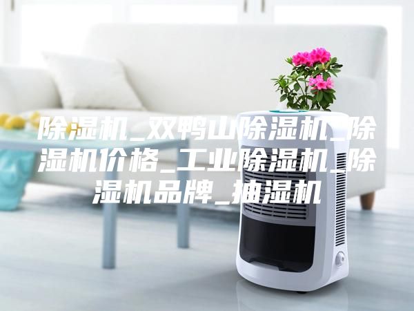 除湿机_双鸭山除湿机_除湿机价格_工业除湿机_除湿机品牌_抽湿机