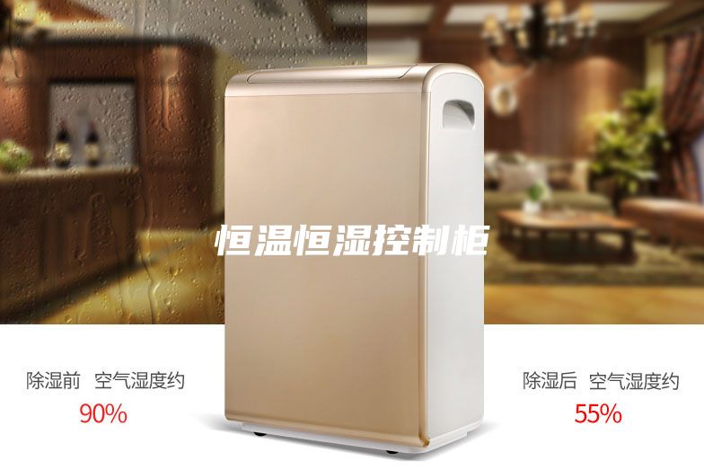 恒温恒湿控制柜