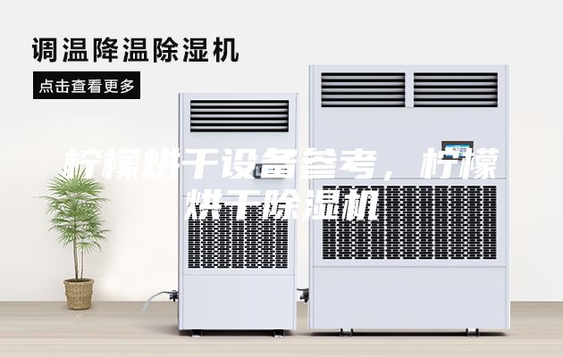 柠檬烘干设备参考，柠檬烘干除湿机