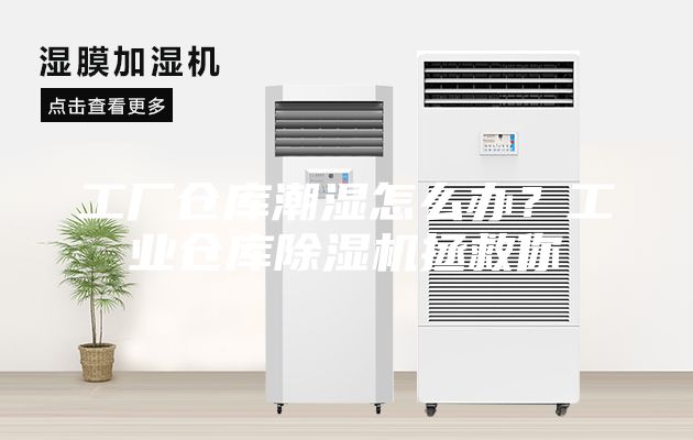 工厂仓库潮湿怎么办？工业仓库除湿机拯救你