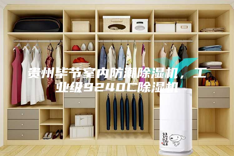 贵州毕节室内防潮除湿机，工业级9240C除湿机