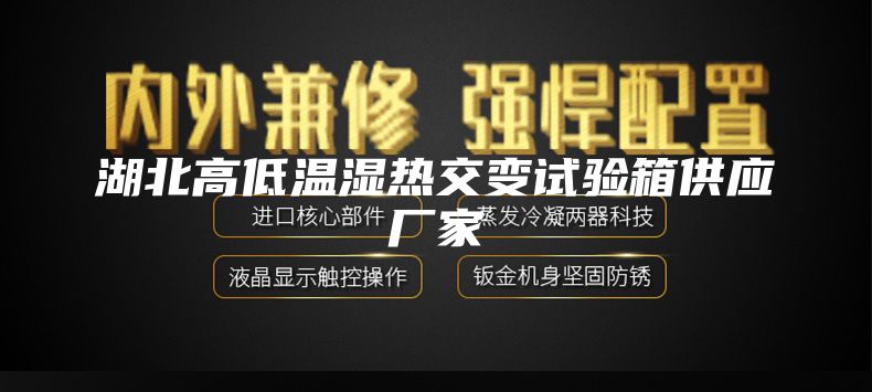 湖北高低温湿热交变试验箱供应厂家