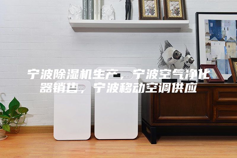 宁波除湿机生产，宁波空气净化器销售，宁波移动空调供应