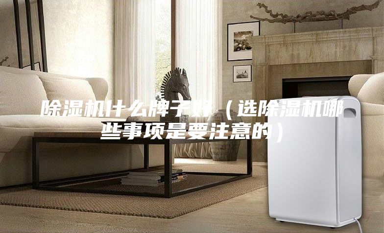 除湿机什么牌子好（选除湿机哪些事项是要注意的）