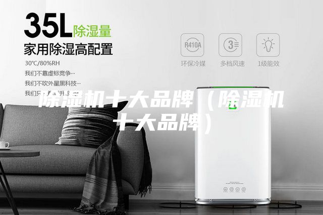 除湿机十大品牌（除湿机十大品牌）