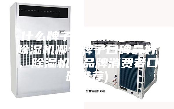 什么牌子除湿机质量好(除湿机哪个牌子口碑最好，除湿机的品牌消费者口碑推荐)