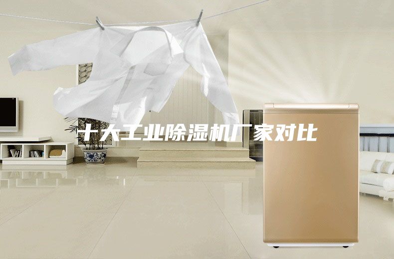 十大工业除湿机厂家对比