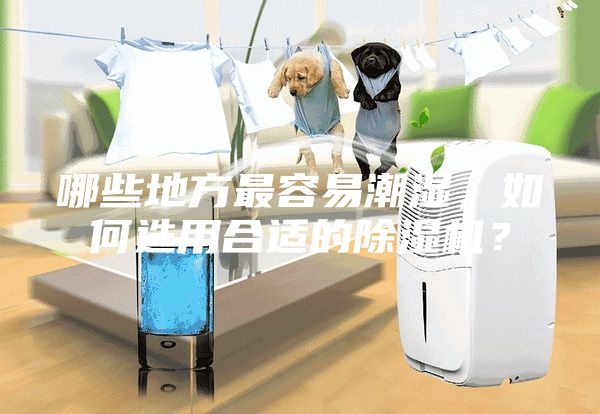 哪些地方最容易潮湿，如何选用合适的除湿机？
