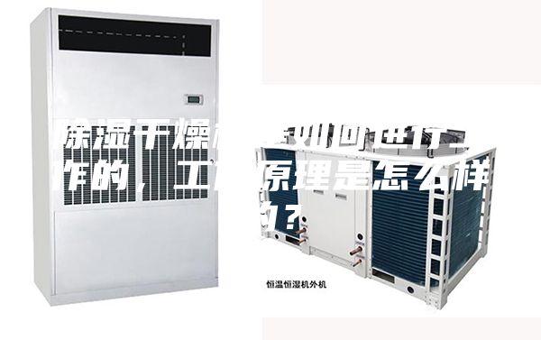 除湿干燥机是如何进行工作的，工作原理是怎么样的？
