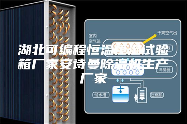 湖北可编程恒温恒湿试验箱厂家安诗曼除湿机生产厂家