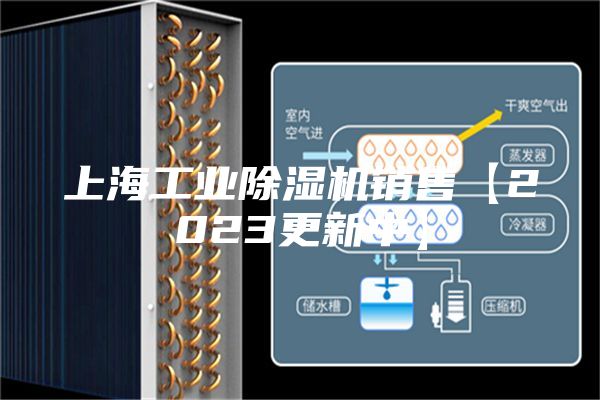 上海工业除湿机销售【2023更新中】