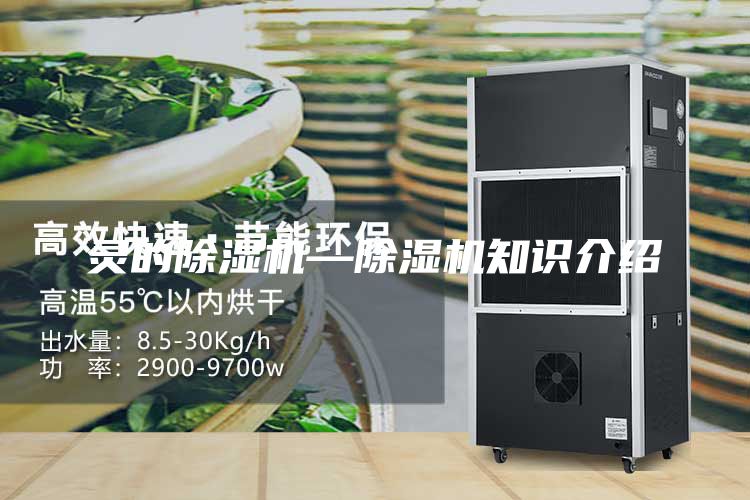 灵的除湿机—除湿机知识介绍
