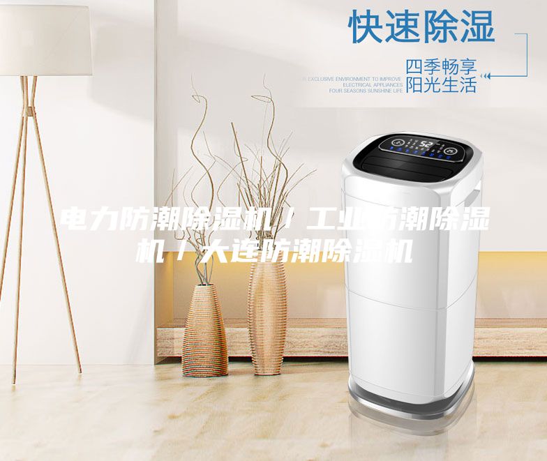 电力防潮除湿机／工业防潮除湿机／大连防潮除湿机