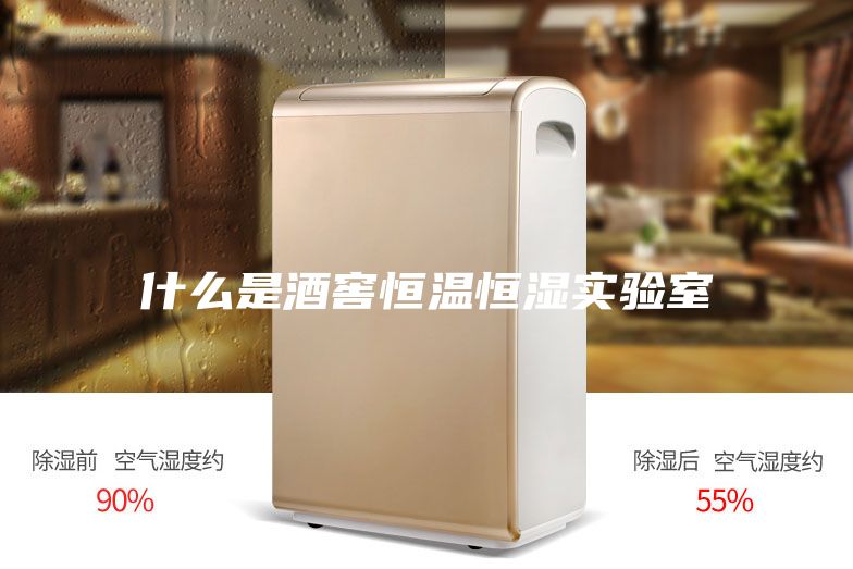 什么是酒窖恒温恒湿实验室