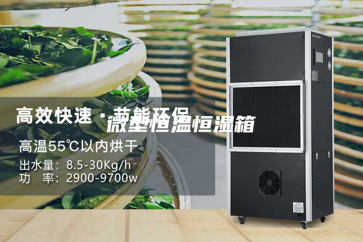 微型恒温恒湿箱