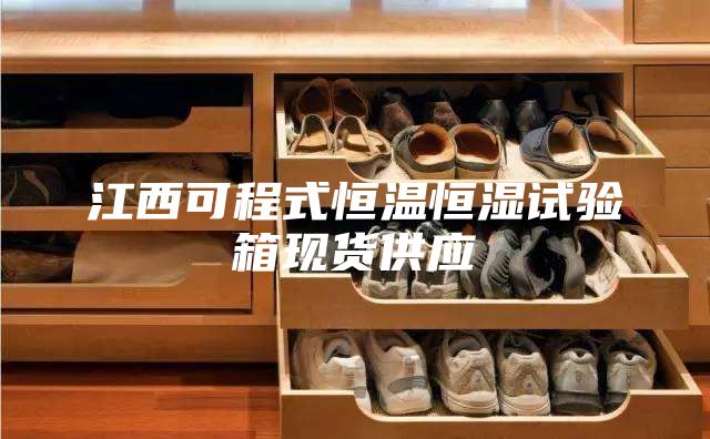 江西可程式恒温恒湿试验箱现货供应