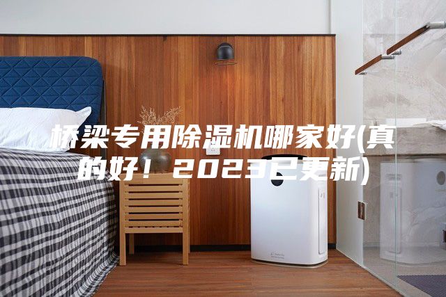 桥梁专用除湿机哪家好(真的好！2023已更新)
