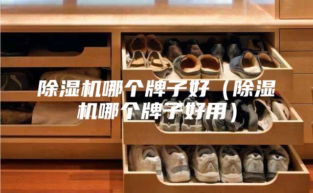除湿机哪个牌子好（除湿机哪个牌子好用）