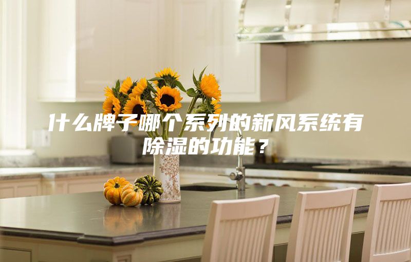 什么牌子哪个系列的新风系统有除湿的功能？