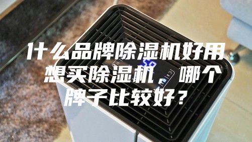 什么品牌除湿机好用 想买除湿机，哪个牌子比较好？