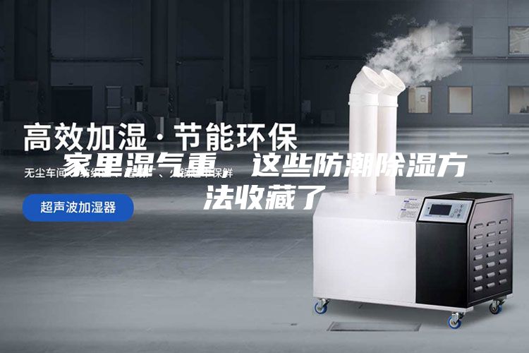 家里湿气重，这些防潮除湿方法收藏了