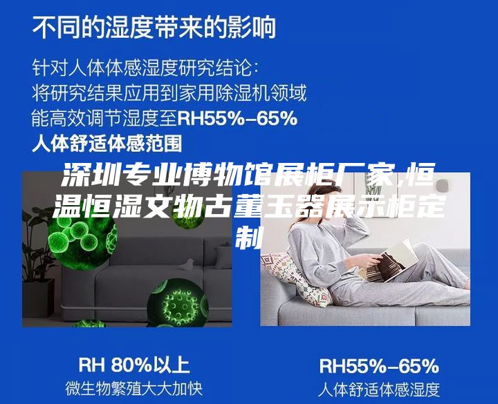 深圳专业博物馆展柜厂家,恒温恒湿文物古董玉器展示柜定制