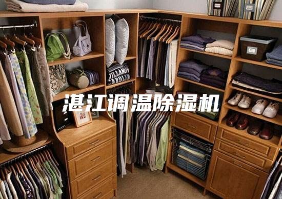 湛江调温除湿机
