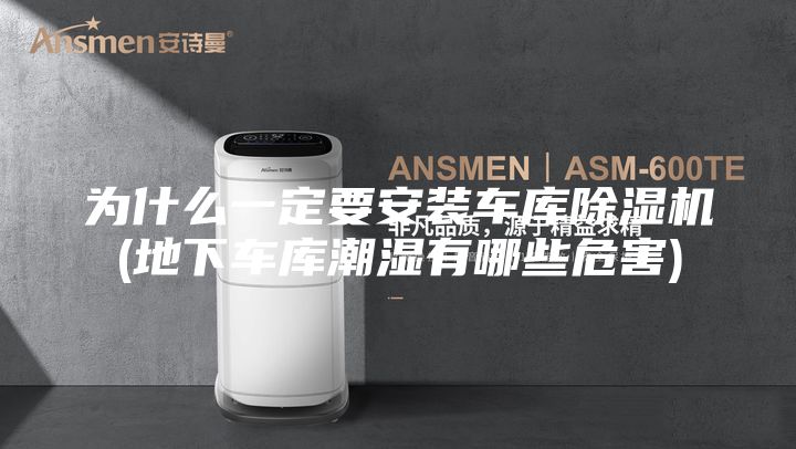为什么一定要安装车库除湿机(地下车库潮湿有哪些危害)