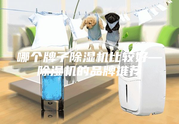 哪个牌子除湿机比较好—除湿机的品牌推荐