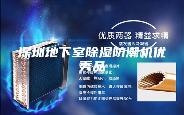 深圳地下室除湿防潮机优秀品
