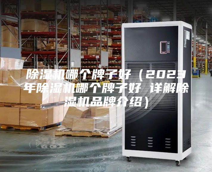 除湿机哪个牌子好（2023年除湿机哪个牌子好 详解除湿机品牌介绍）