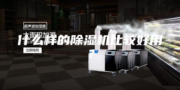 什么样的除湿机比较好用？