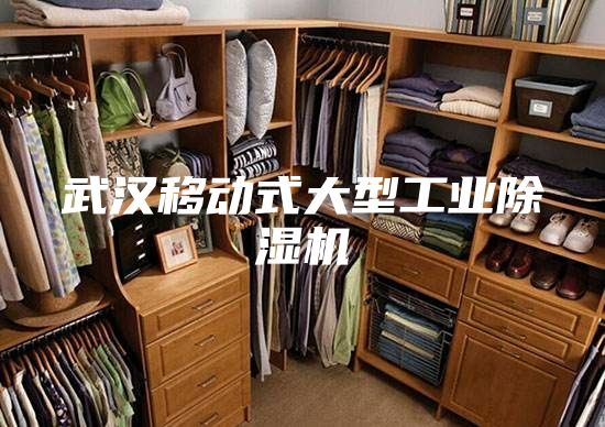 武汉移动式大型工业除湿机