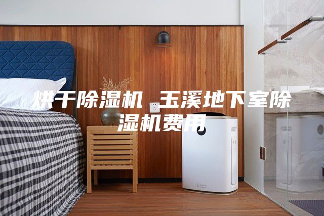 烘干除湿机 玉溪地下室除湿机费用