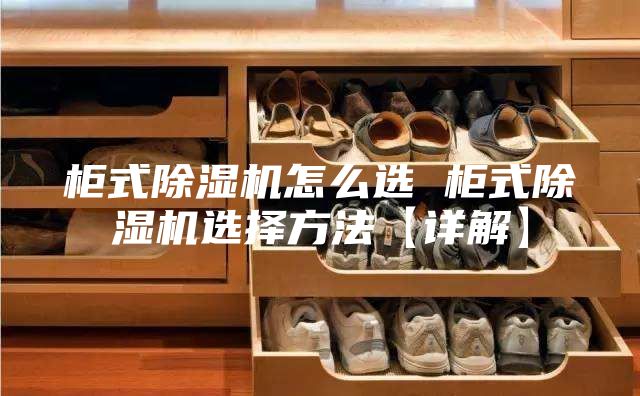 柜式除湿机怎么选 柜式除湿机选择方法【详解】