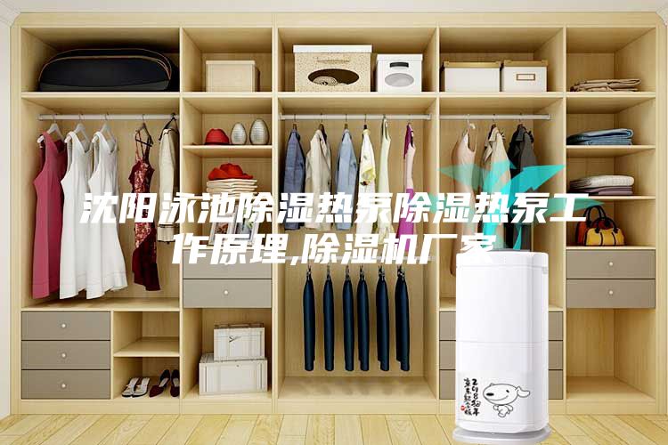 沈阳泳池除湿热泵除湿热泵工作原理,除湿机厂家