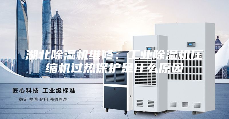 湖北除湿机维修：工业除湿机压缩机过热保护是什么原因