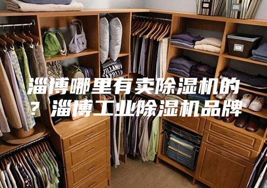 淄博哪里有卖除湿机的？淄博工业除湿机品牌