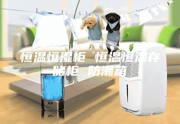 恒温恒湿柜 恒温恒湿存储柜 防潮箱