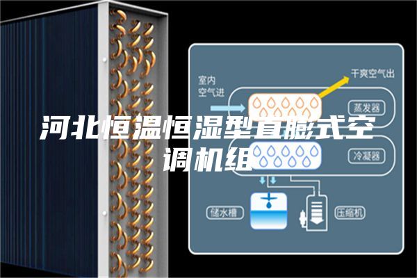 河北恒温恒湿型直膨式空调机组
