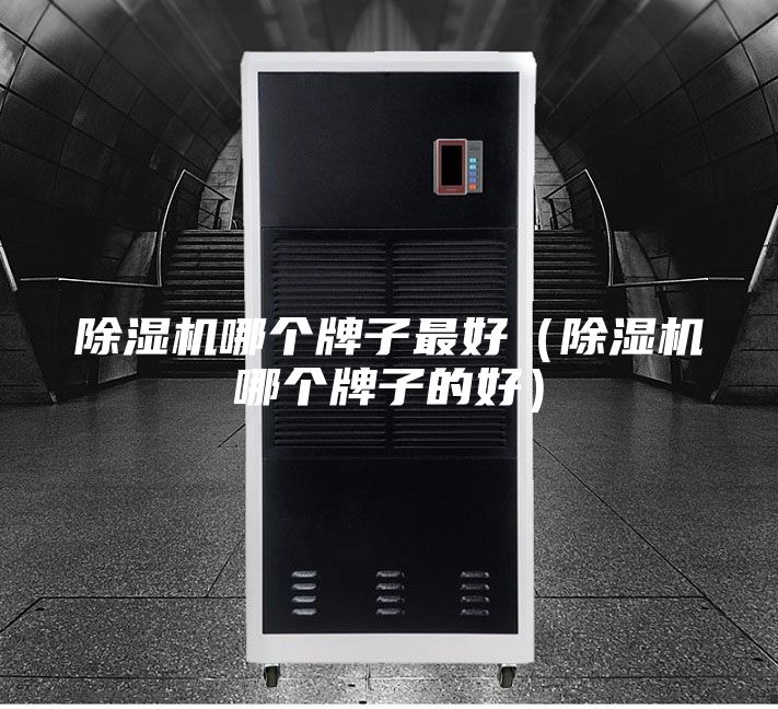除湿机哪个牌子最好（除湿机哪个牌子的好）
