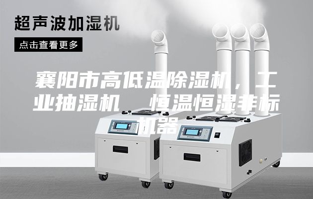 襄阳市高低温除湿机，工业抽湿机  恒温恒湿非标机器