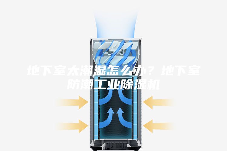 地下室太潮湿怎么办？地下室防潮工业除湿机