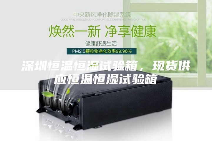 深圳恒温恒湿试验箱，现货供应恒温恒湿试验箱