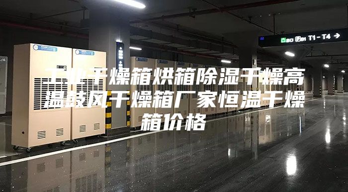 工业干燥箱烘箱除湿干燥高温鼓风干燥箱厂家恒温干燥箱价格