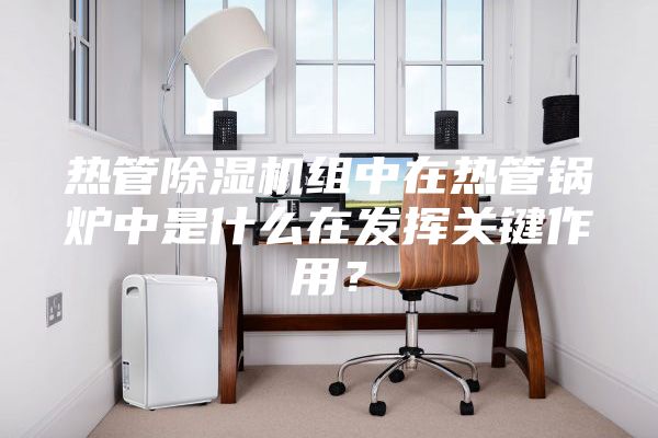热管除湿机组中在热管锅炉中是什么在发挥关键作用？