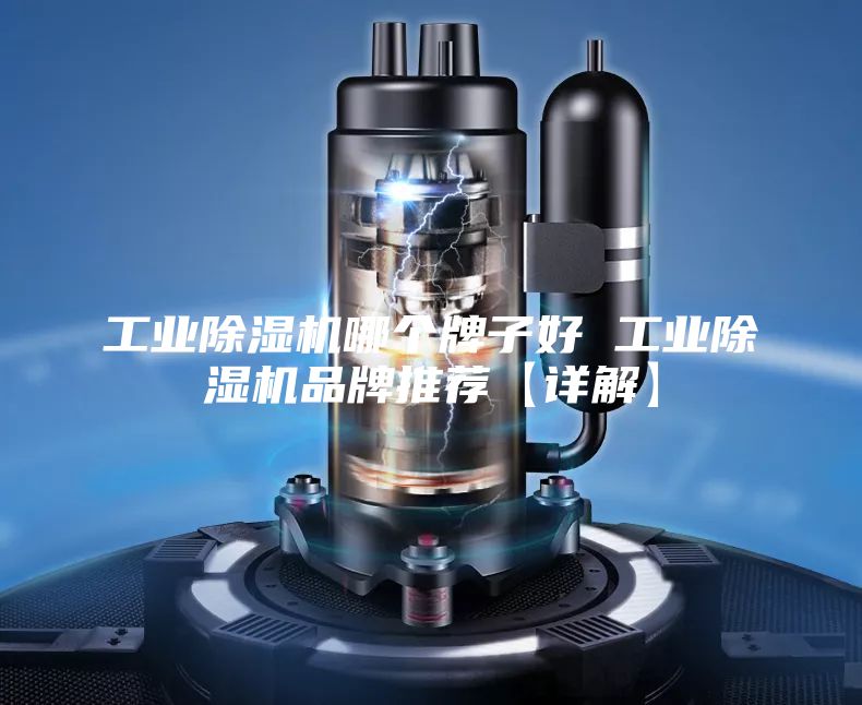 工业除湿机哪个牌子好 工业除湿机品牌推荐【详解】