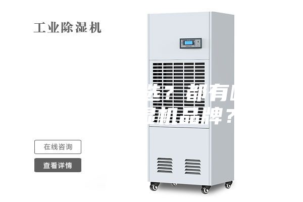 除湿机怎么选？都有哪些好的除湿机品牌？