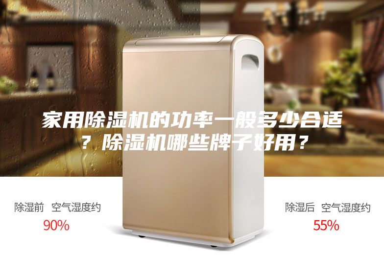 家用除湿机的功率一般多少合适？除湿机哪些牌子好用？