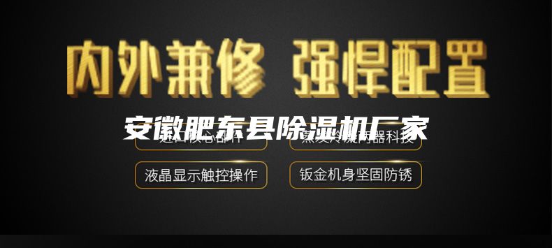 安徽肥东县除湿机厂家